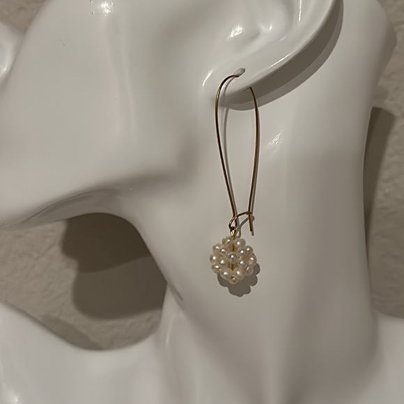 Luxe Collection Drop Earrings - Picture 1 of 6
